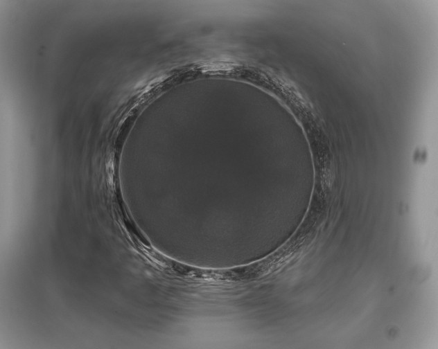 X0000097631445200803071521