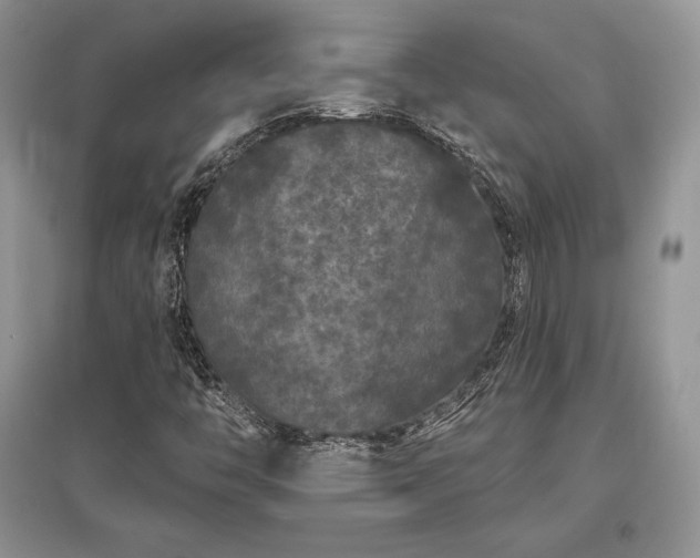 X0000097631446200803071521