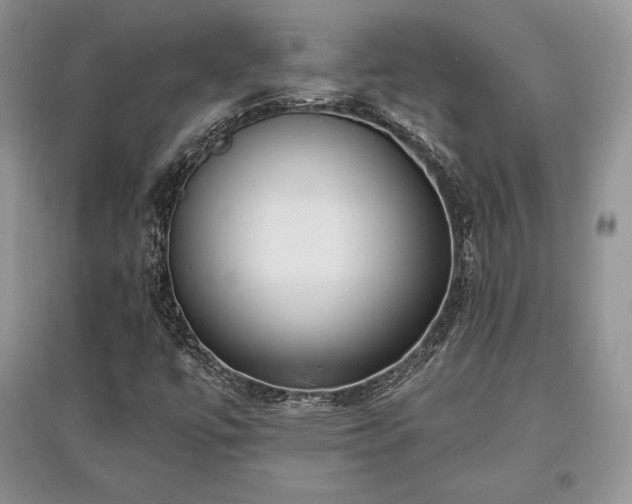 X0000097631447200803071521