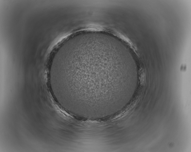 X0000097631448200803071521