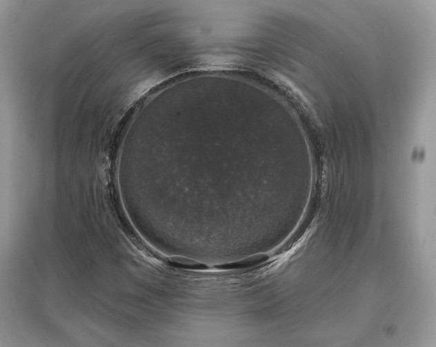 X0000097631449200803071521