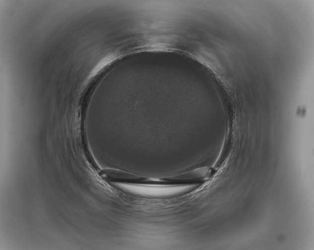 X0000097631450200803071521