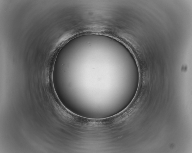 X0000097631451200803071521