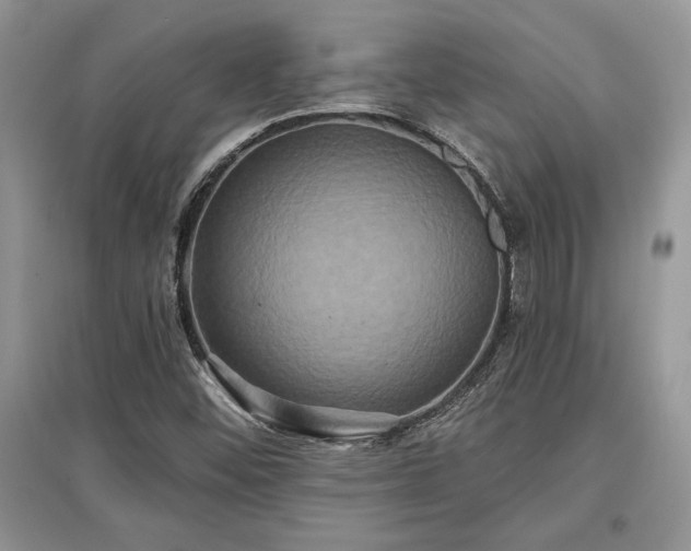 X0000097631452200803071521