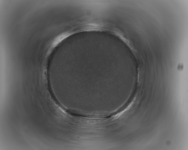 X0000097631453200803071521