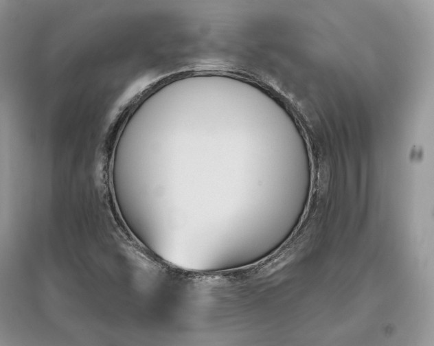 X0000097631454200803071521