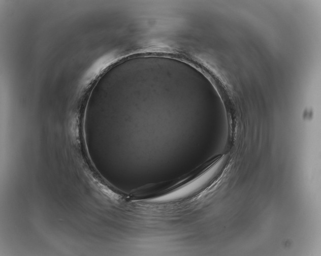 X0000097631455200803071521