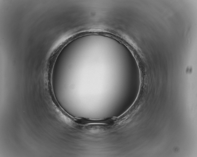 X0000097631456200803071521