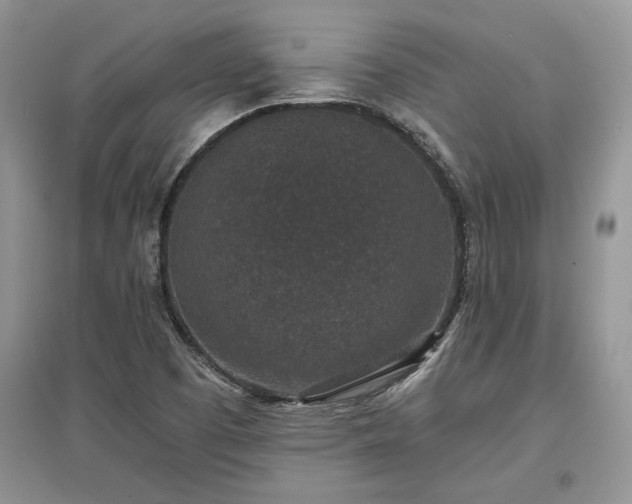 X0000097631457200803071521