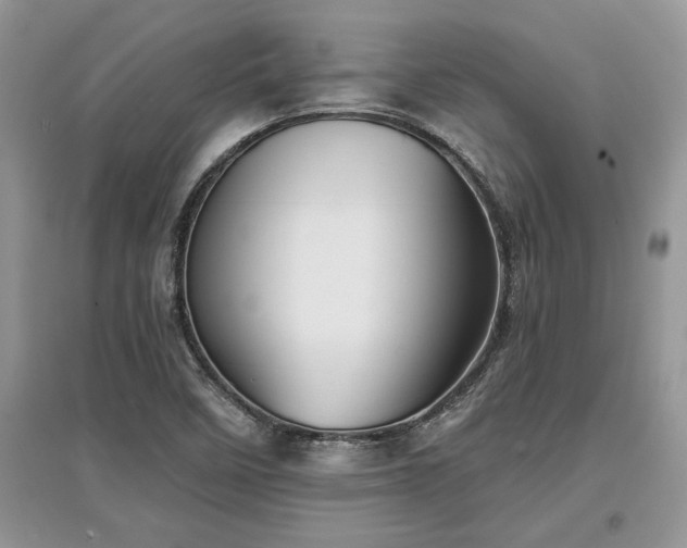 X0000097631458200803071521