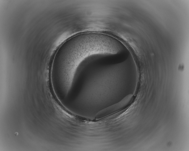 X0000097631459200803071521