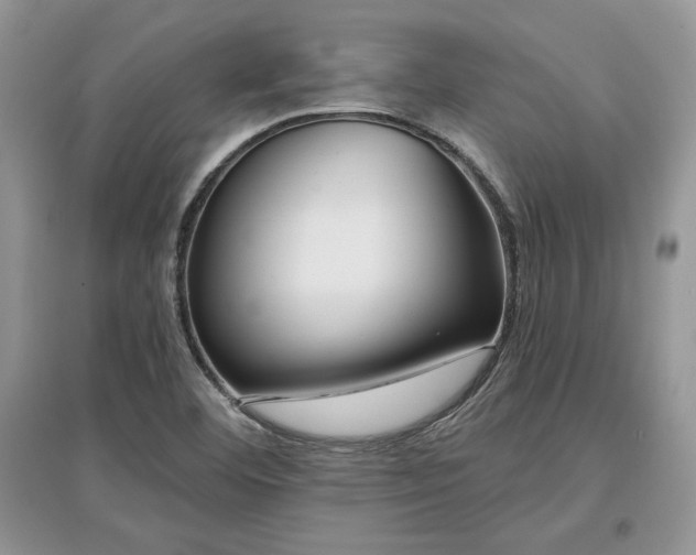 X0000097631460200803071521