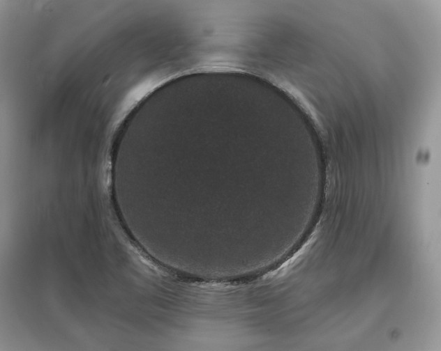 X0000097631461200803071521