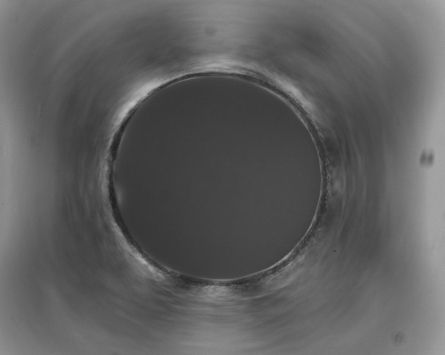 X0000097631463200803071521