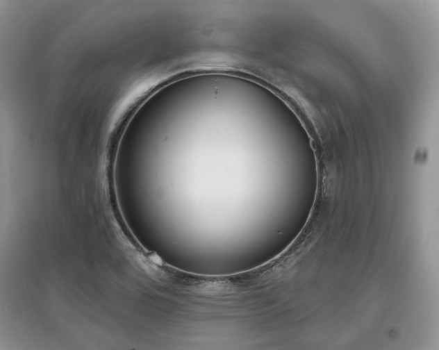 X0000097631464200803071521