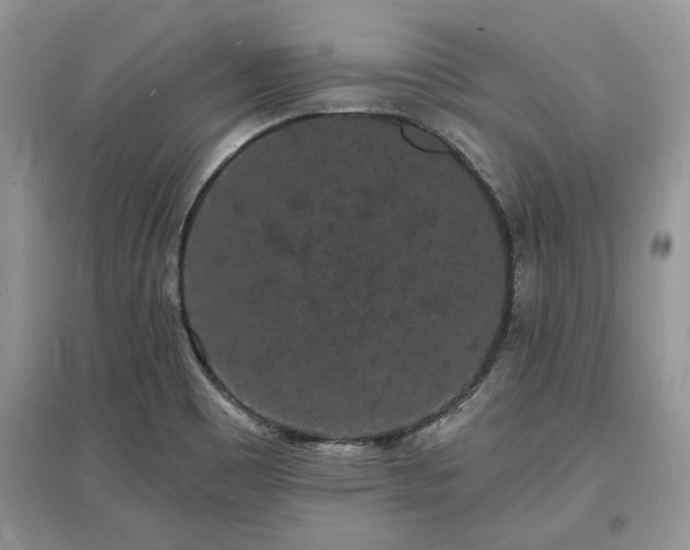 X0000097631465200803071521