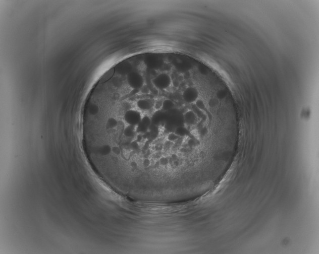 X0000097631467200803071521