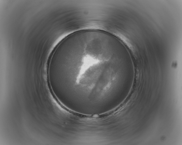 X0000097631468200803071521