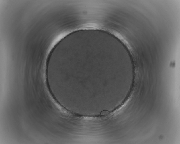 X0000097631469200803071521