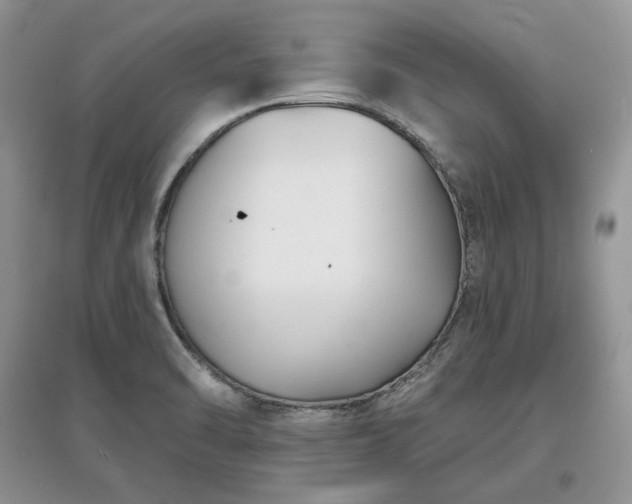 X0000097631470200803071521