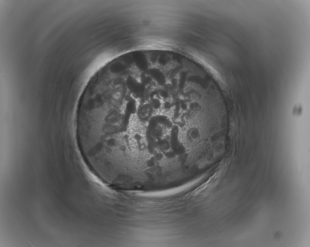 X0000097631471200803071521