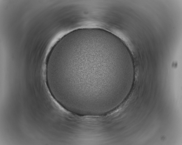 X0000097631472200803071521