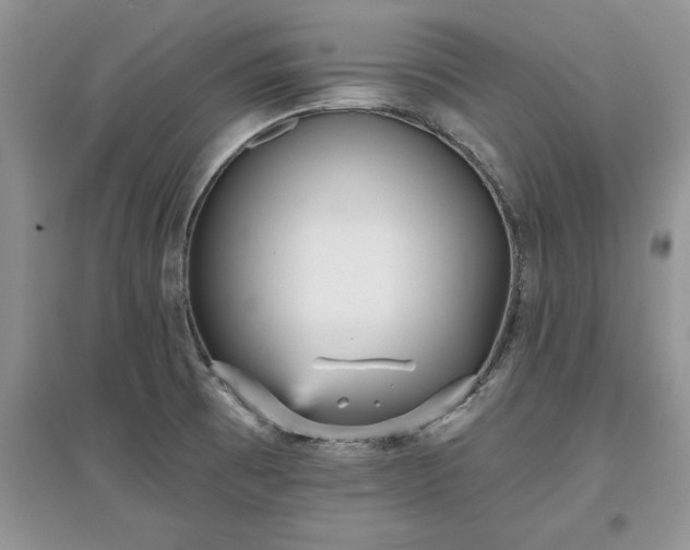 X0000097631473200803071521