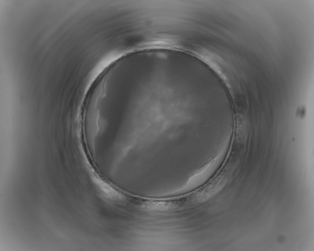 X0000097631474200803071521