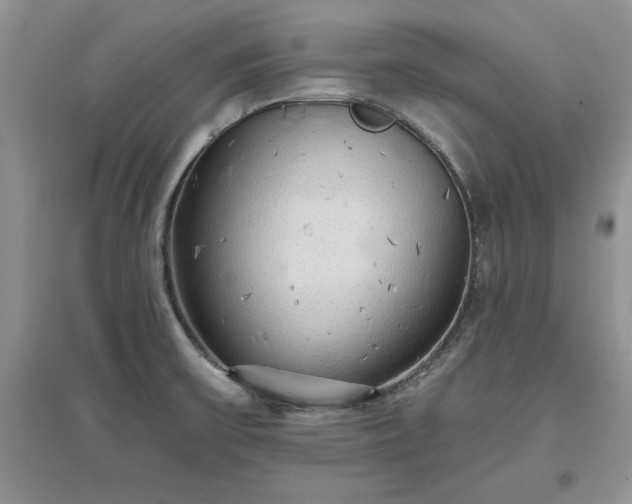 X0000097631475200803071521