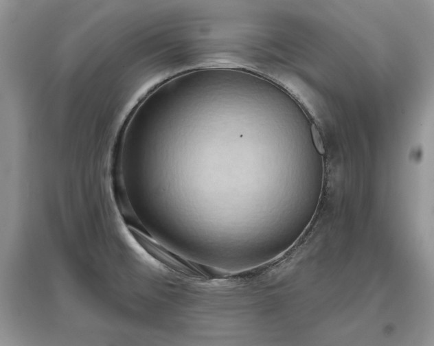 X0000097631476200803071521