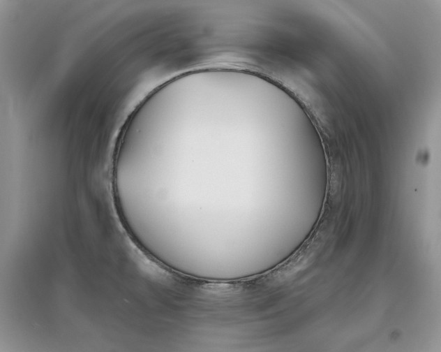 X0000097631478200803071521