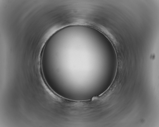 X0000097631479200803071521