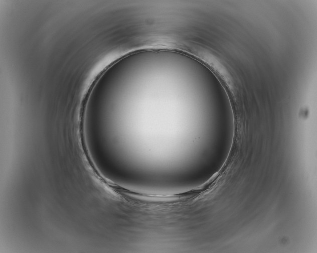 X0000097631480200803071521