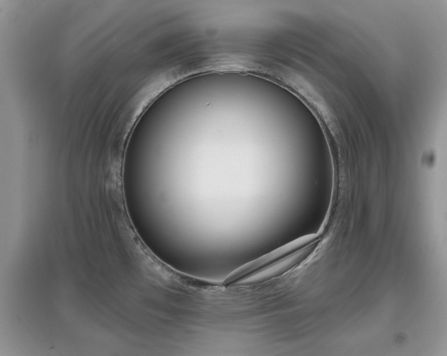 X0000097631481200803071521