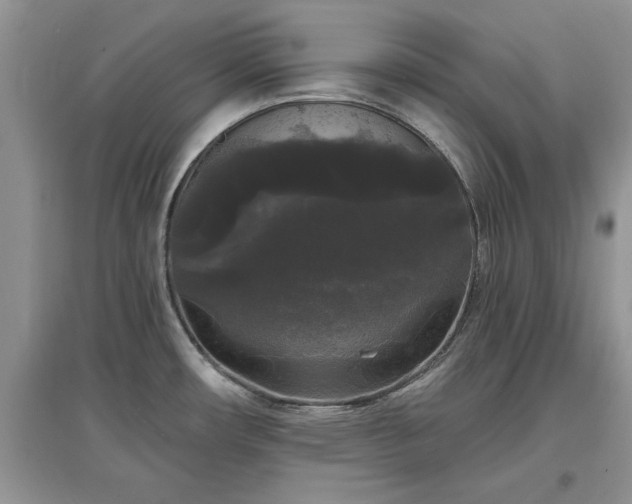 X0000097631482200803071521