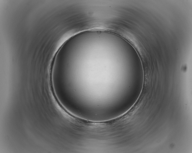 X0000097631483200803071521