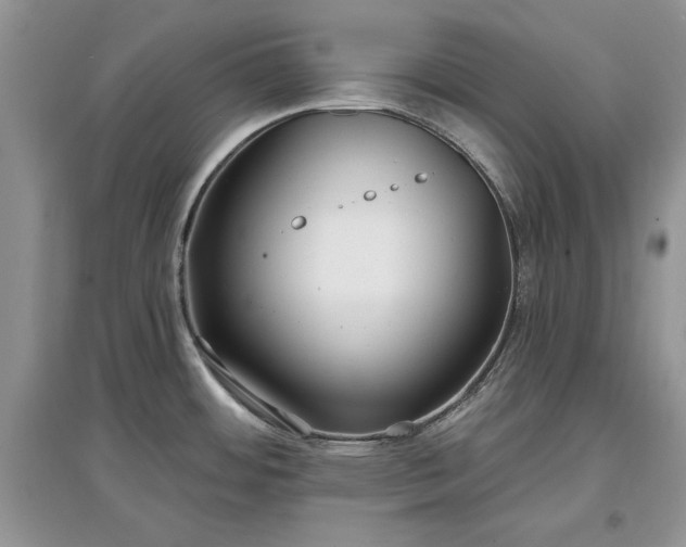 X0000097631484200803071521