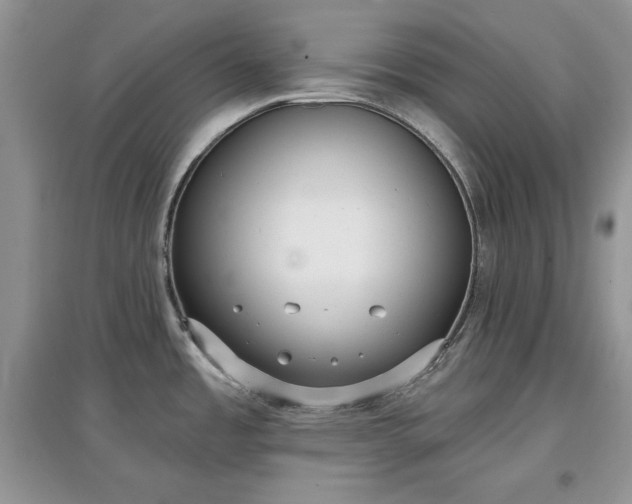 X0000097631485200803071521