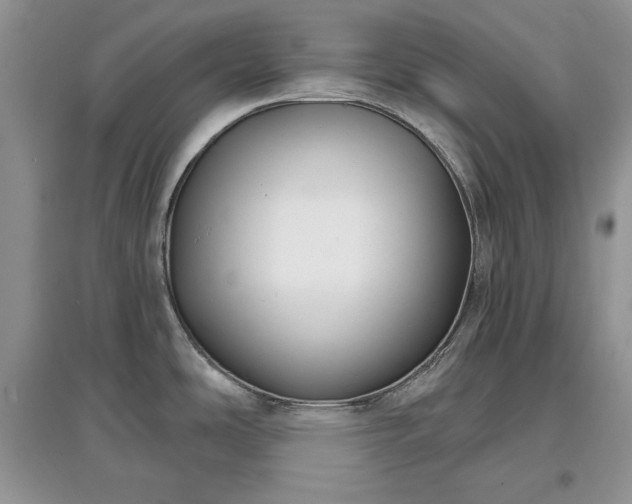 X0000097631486200803071521