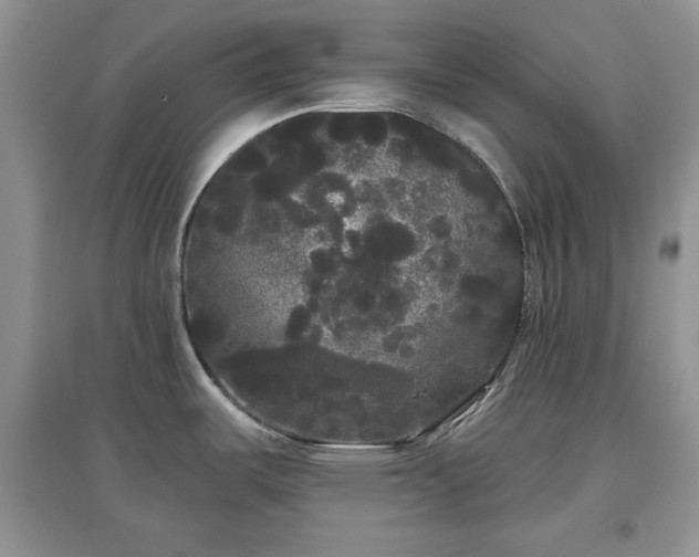 X0000097631487200803071521