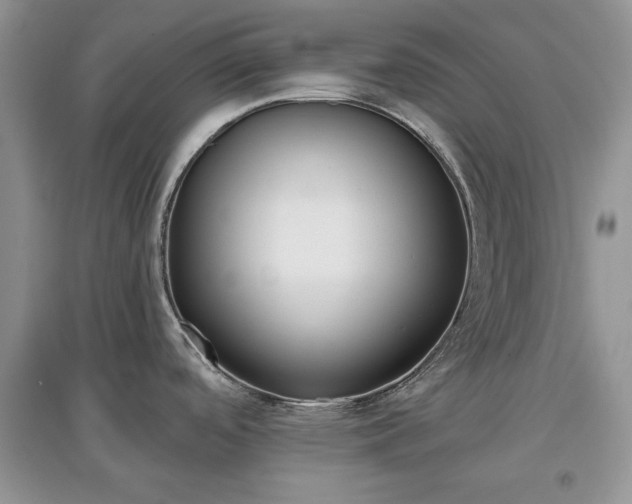 X0000097631488200803071521