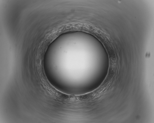 X0000097631489200803071520