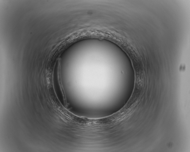 X0000097631490200803071520