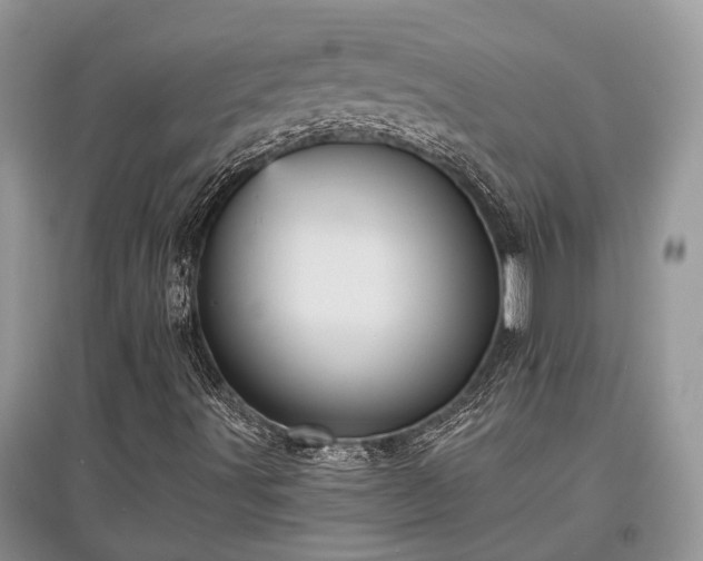 X0000097631491200803071520