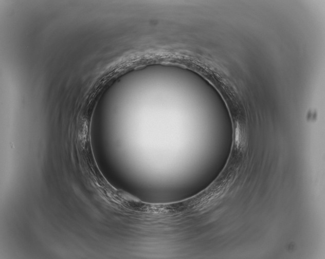 X0000097631492200803071520