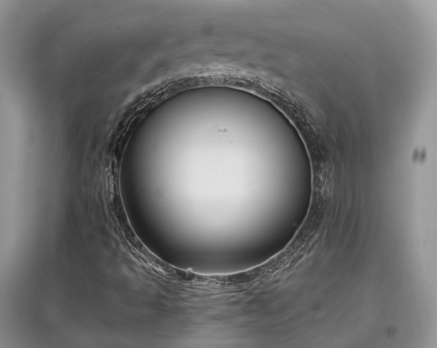 X0000097631493200803071520