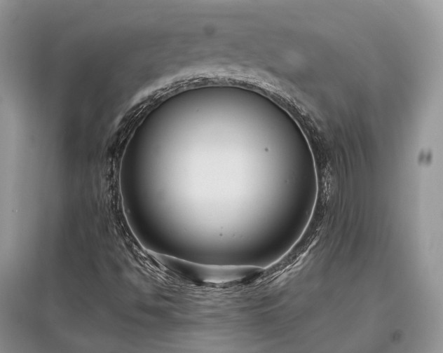 X0000097631494200803071520