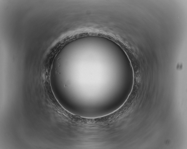 X0000097631495200803071520