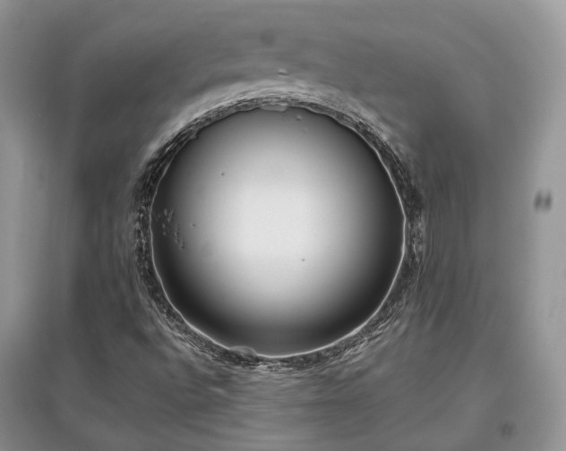 X0000097631496200803071520