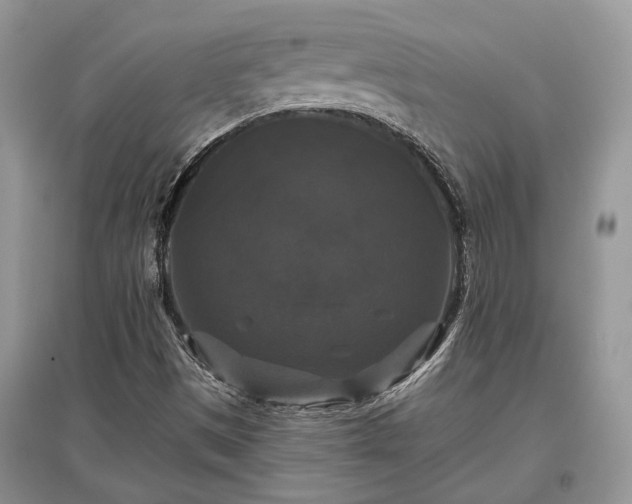 X0000097631497200803071520